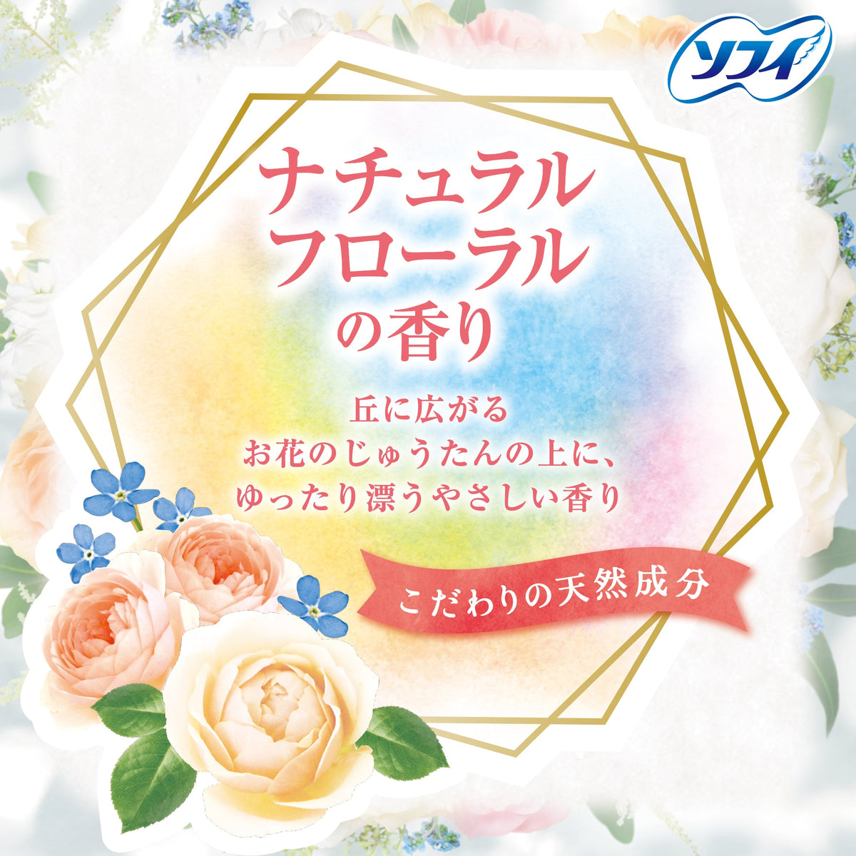 ソフィ Kiyora ナチュラルフローラルの香り 72コ入