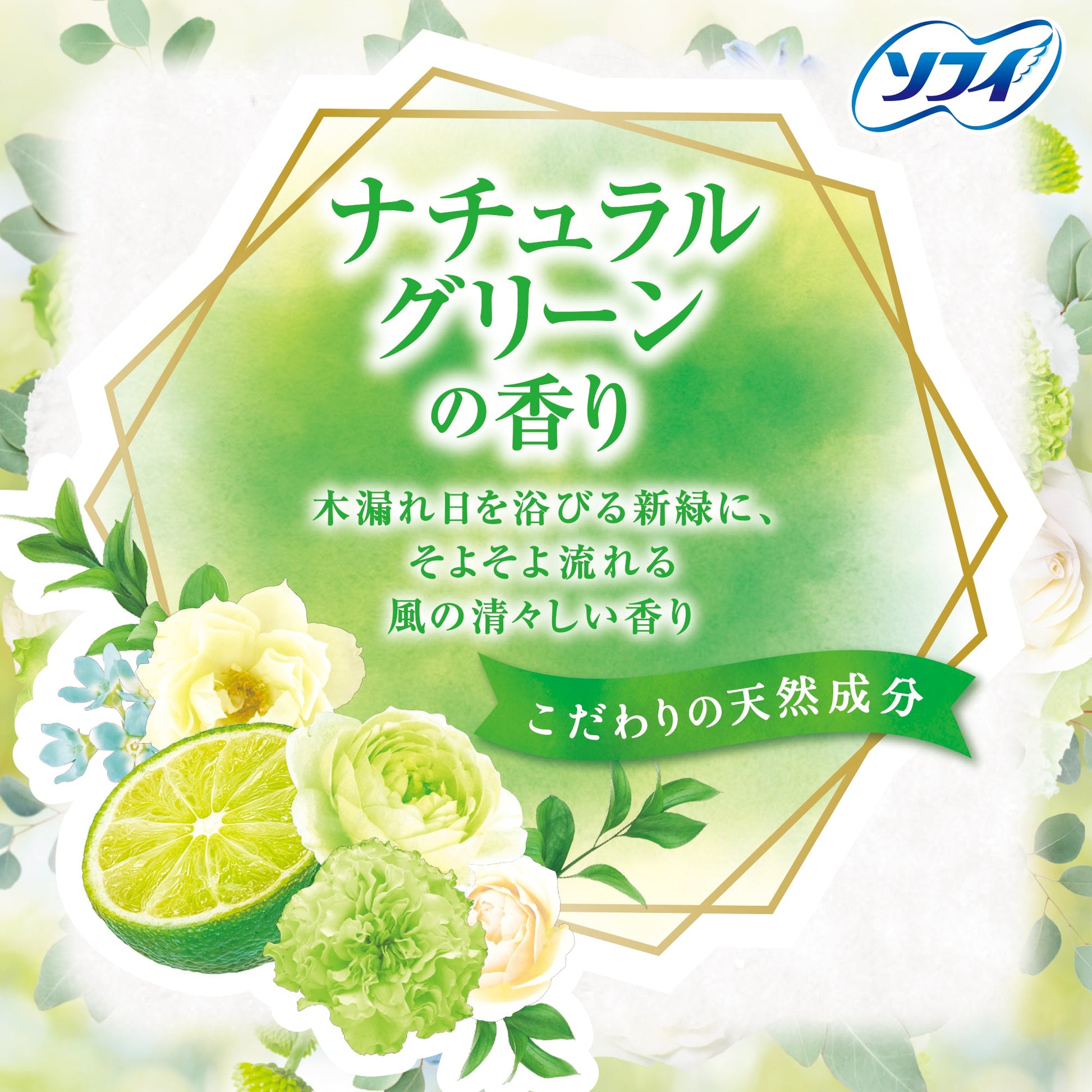 ソフィ Kiyora ナチュラルグリーンの香り 72コ入