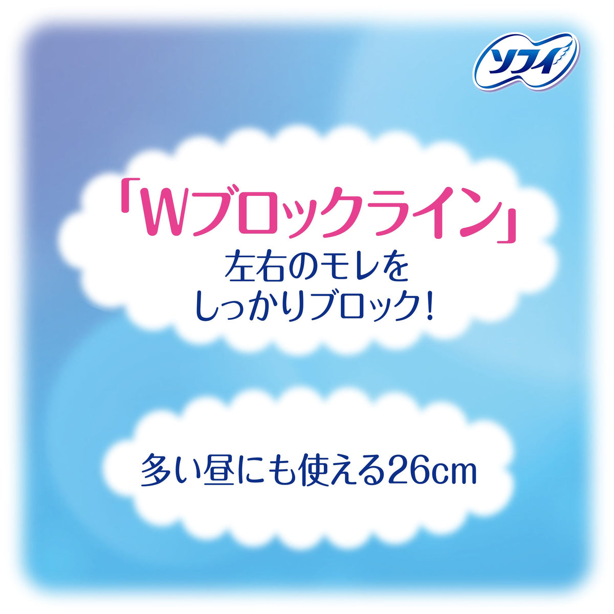 ソフィボディフィットナイトガード羽なし 22コ入