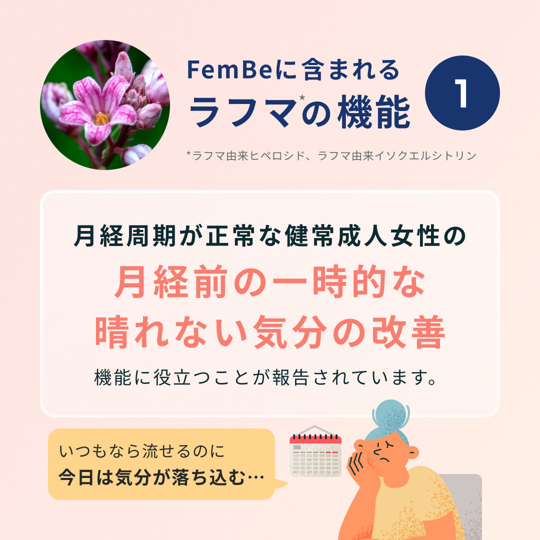 FemBe（サプリメント） 60粒入り