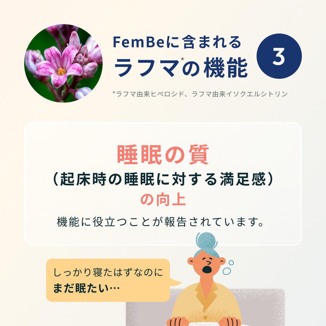 FemBe（サプリメント） 60粒入り